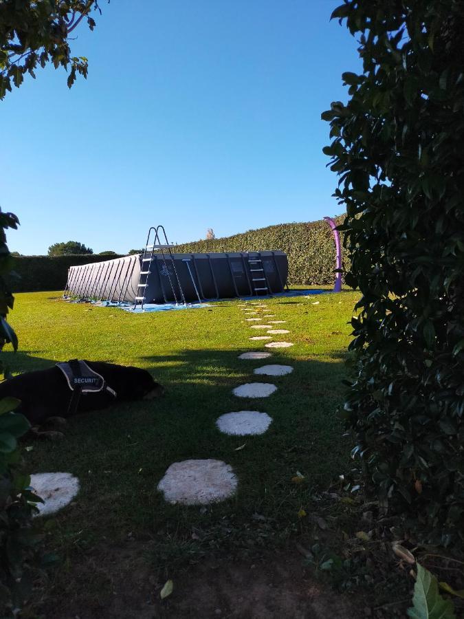 Logement Atypique Arles Bagian luar foto